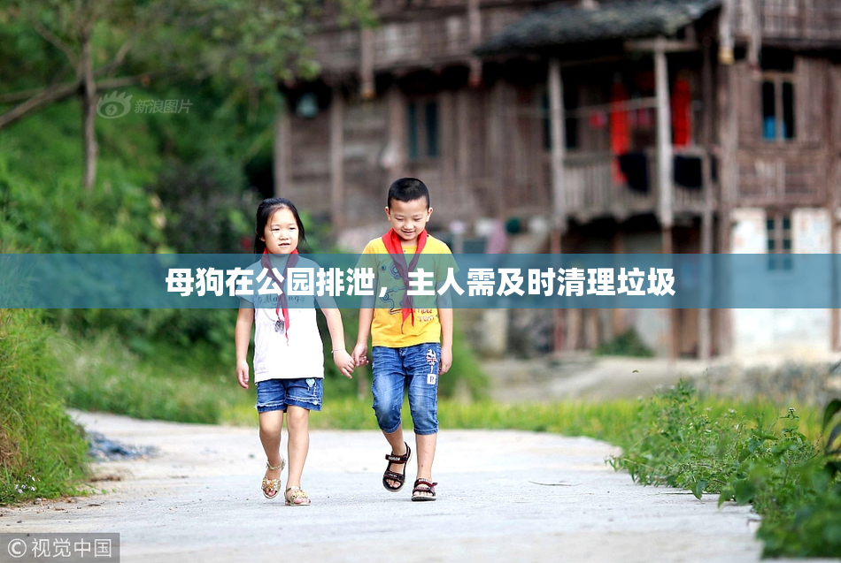 母狗在公园排泄，主人需及时清理垃圾
