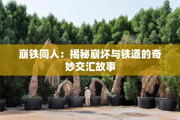 崩铁同人：揭秘崩坏与铁道的奇妙交汇故事