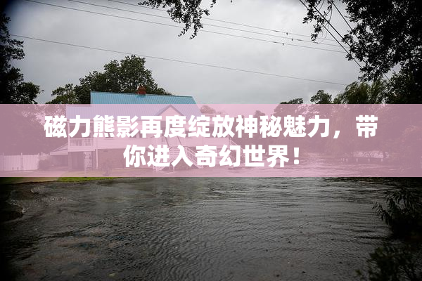 磁力熊影再度绽放神秘魅力，带你进入奇幻世界！