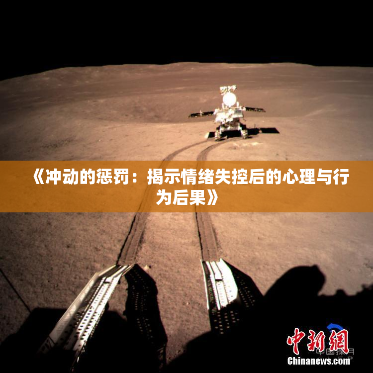 《冲动的惩罚：揭示情绪失控后的心理与行为后果》
