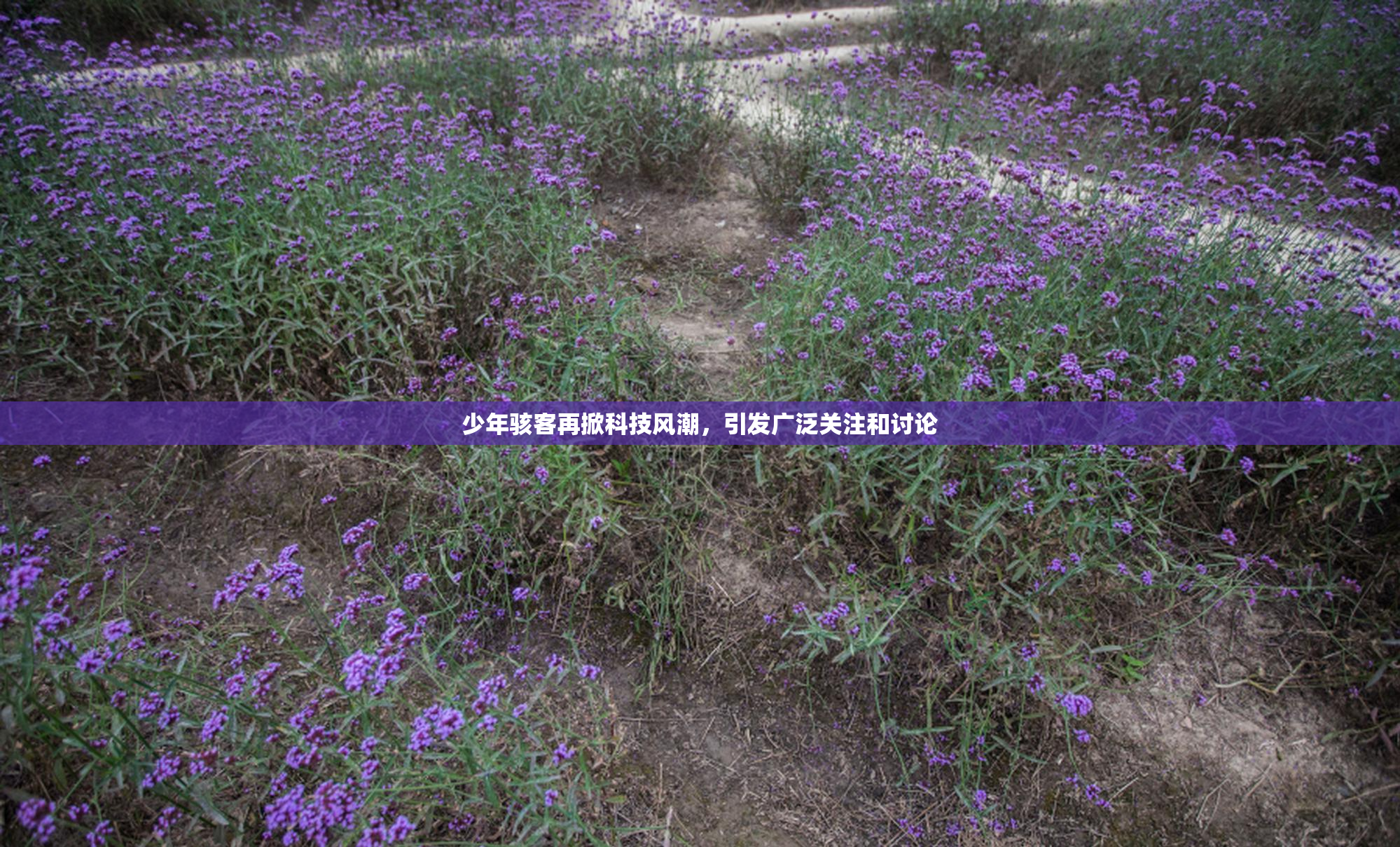少年骇客再掀科技风潮，引发广泛关注和讨论