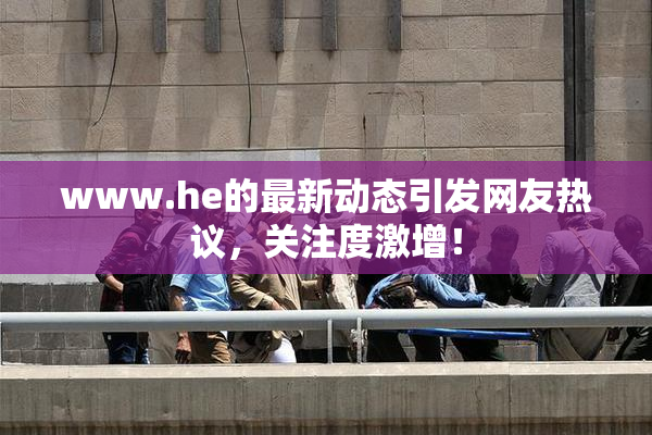 www.he的最新动态引发网友热议，关注度激增！