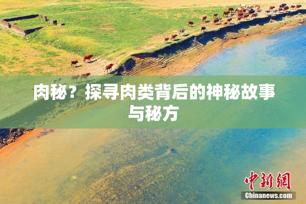 肉秘？探寻肉类背后的神秘故事与秘方