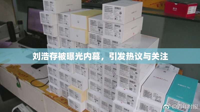 刘浩存被曝光内幕，引发热议与关注