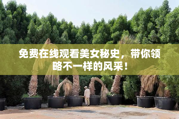 免费在线观看美女秘史，带你领略不一样的风采！