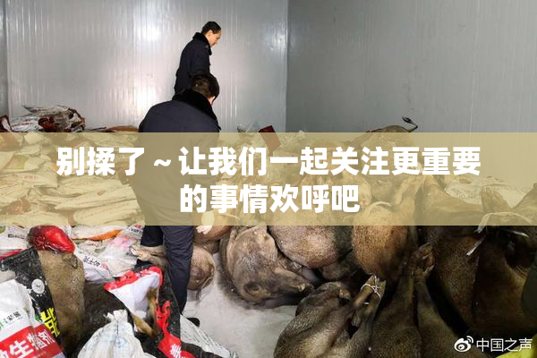 别揉了～让我们一起关注更重要的事情欢呼吧