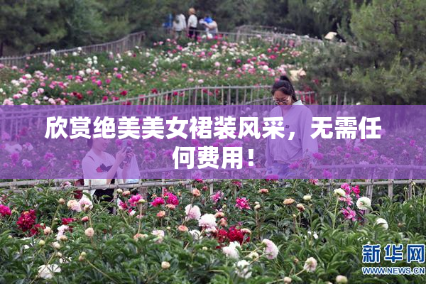 欣赏绝美美女裙装风采，无需任何费用！