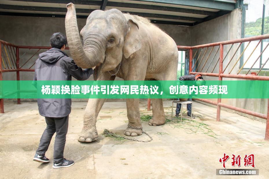 杨颖换脸事件引发网民热议，创意内容频现