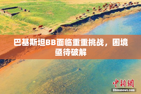 巴基斯坦BB面临重重挑战，困境亟待破解