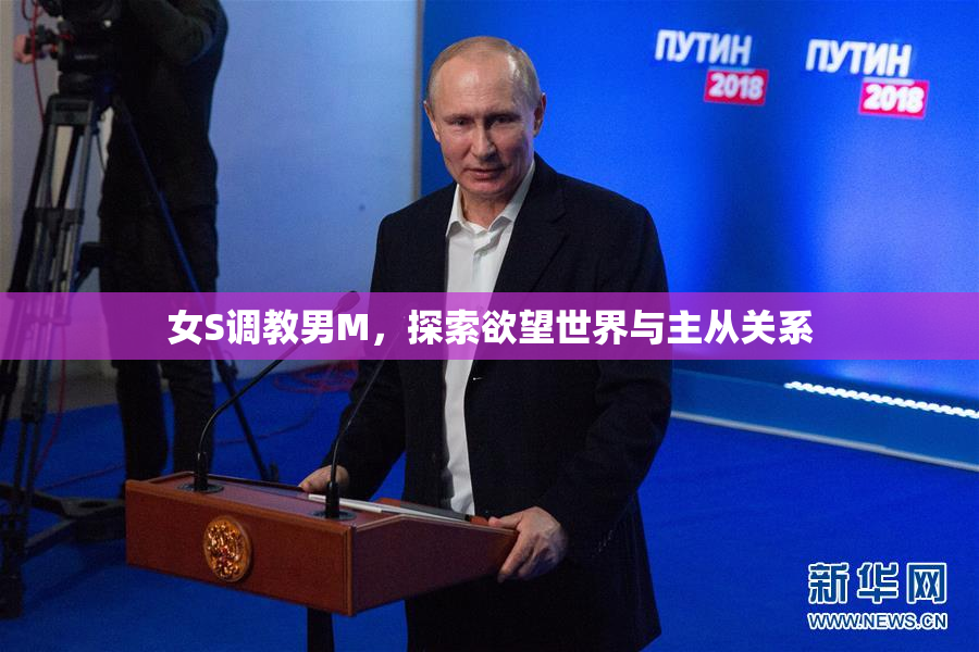 女S调教男M，探索欲望世界与主从关系