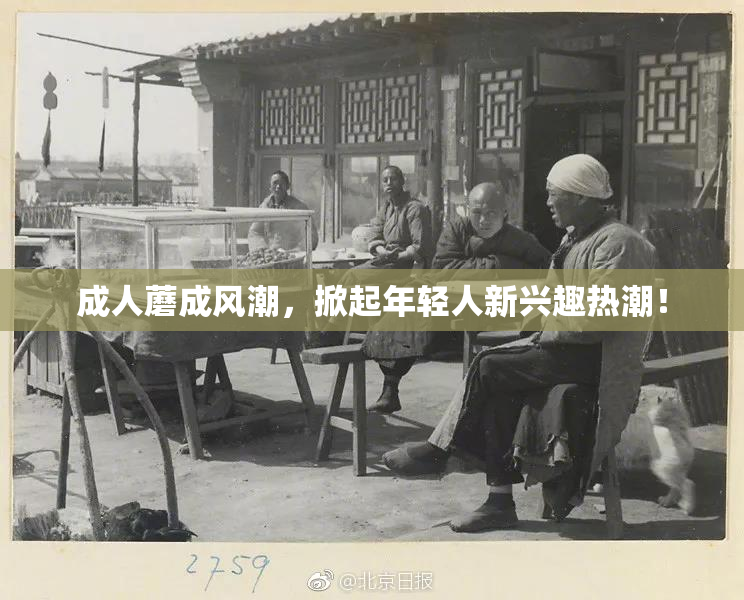成人蘑成风潮，掀起年轻人新兴趣热潮！