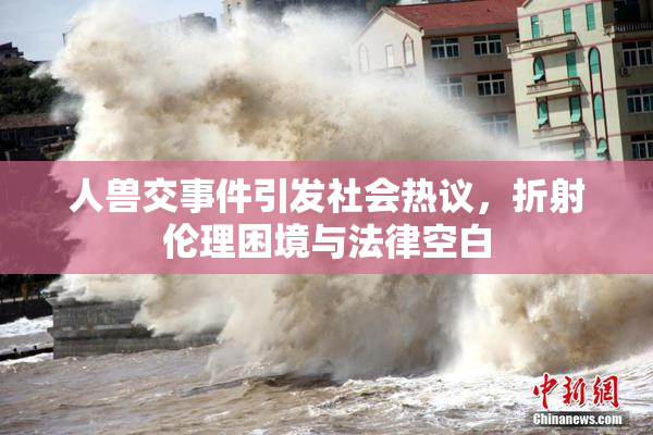 人兽交事件引发社会热议，折射伦理困境与法律空白