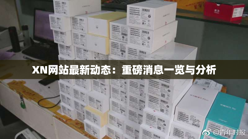 XN网站最新动态：重磅消息一览与分析