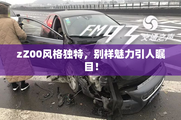 zZ00风格独特，别样魅力引人瞩目！