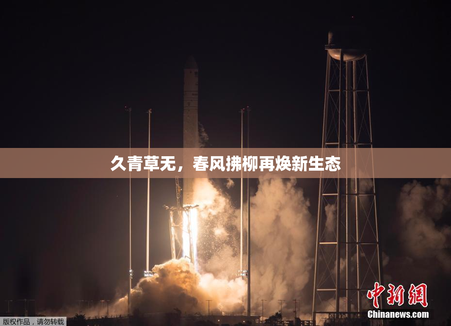 久青草无，春风拂柳再焕新生态