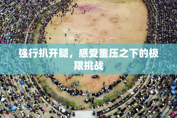 强行扒开腿，感受重压之下的极限挑战