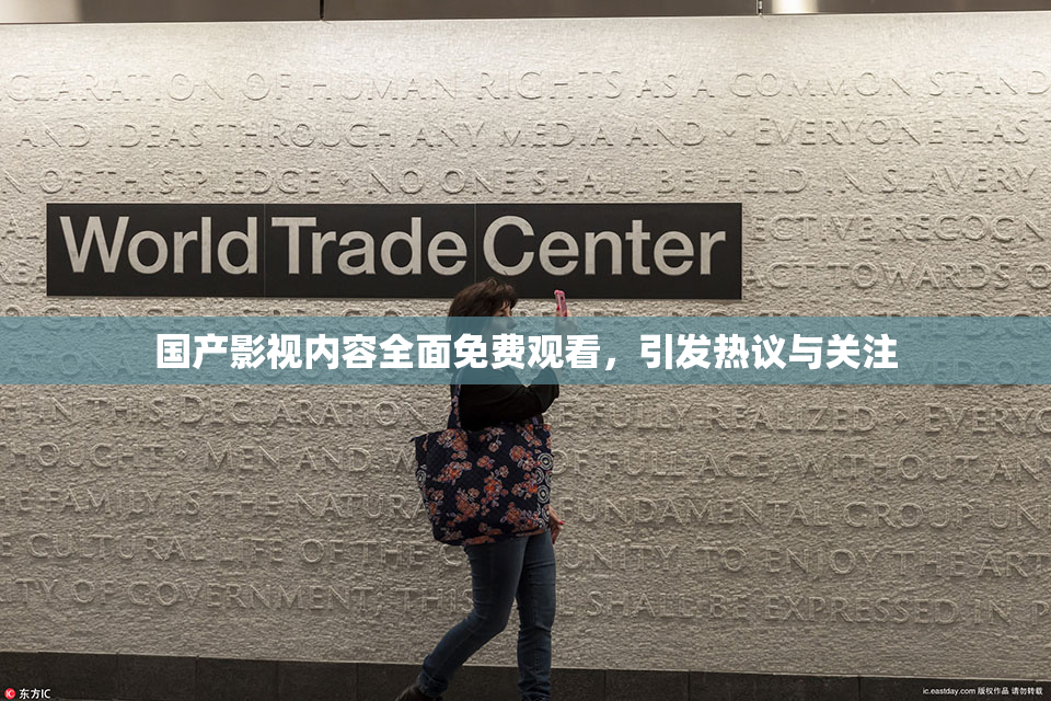 国产影视内容全面免费观看，引发热议与关注