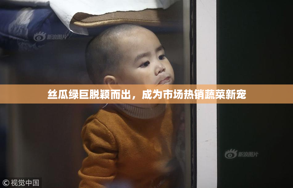 丝瓜绿巨脱颖而出，成为市场热销蔬菜新宠