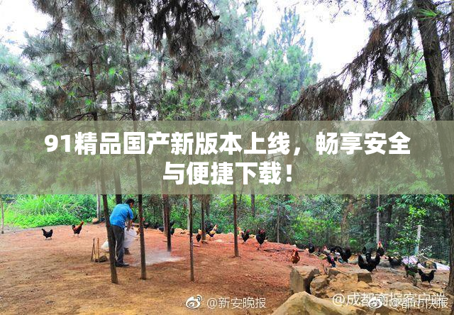 91精品国产新版本上线，畅享安全与便捷下载！
