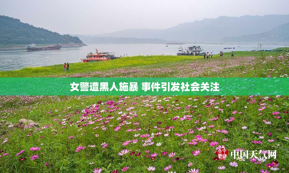 女警遭黑人施暴 事件引发社会关注