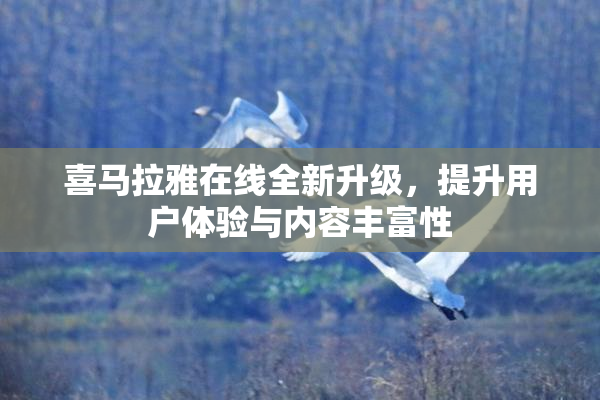 喜马拉雅在线全新升级，提升用户体验与内容丰富性