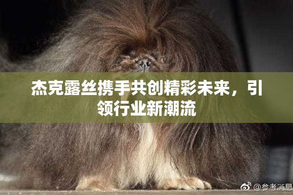 杰克露丝携手共创精彩未来，引领行业新潮流