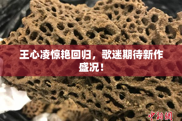 王心凌惊艳回归，歌迷期待新作盛况！