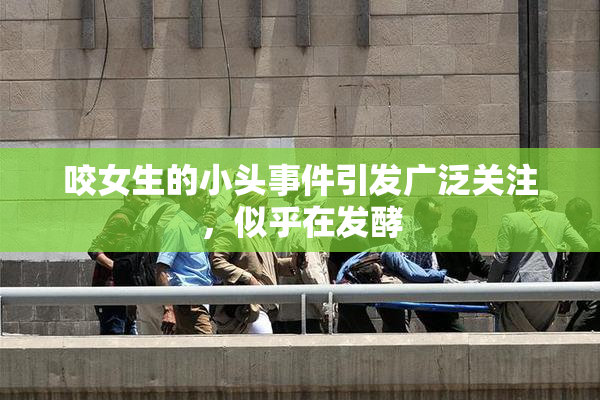 咬女生的小头事件引发广泛关注，似乎在发酵
