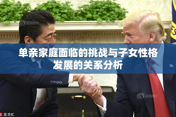 单亲家庭面临的挑战与子女性格发展的关系分析