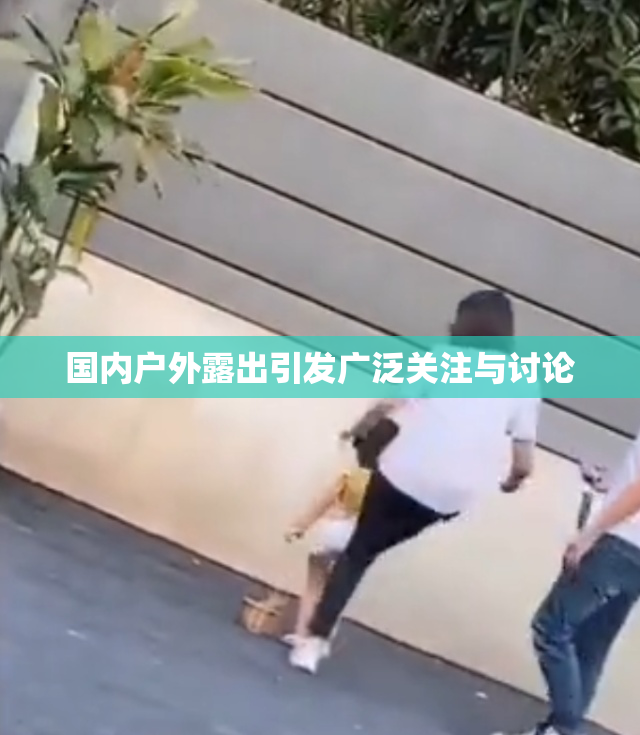 国内户外露出引发广泛关注与讨论