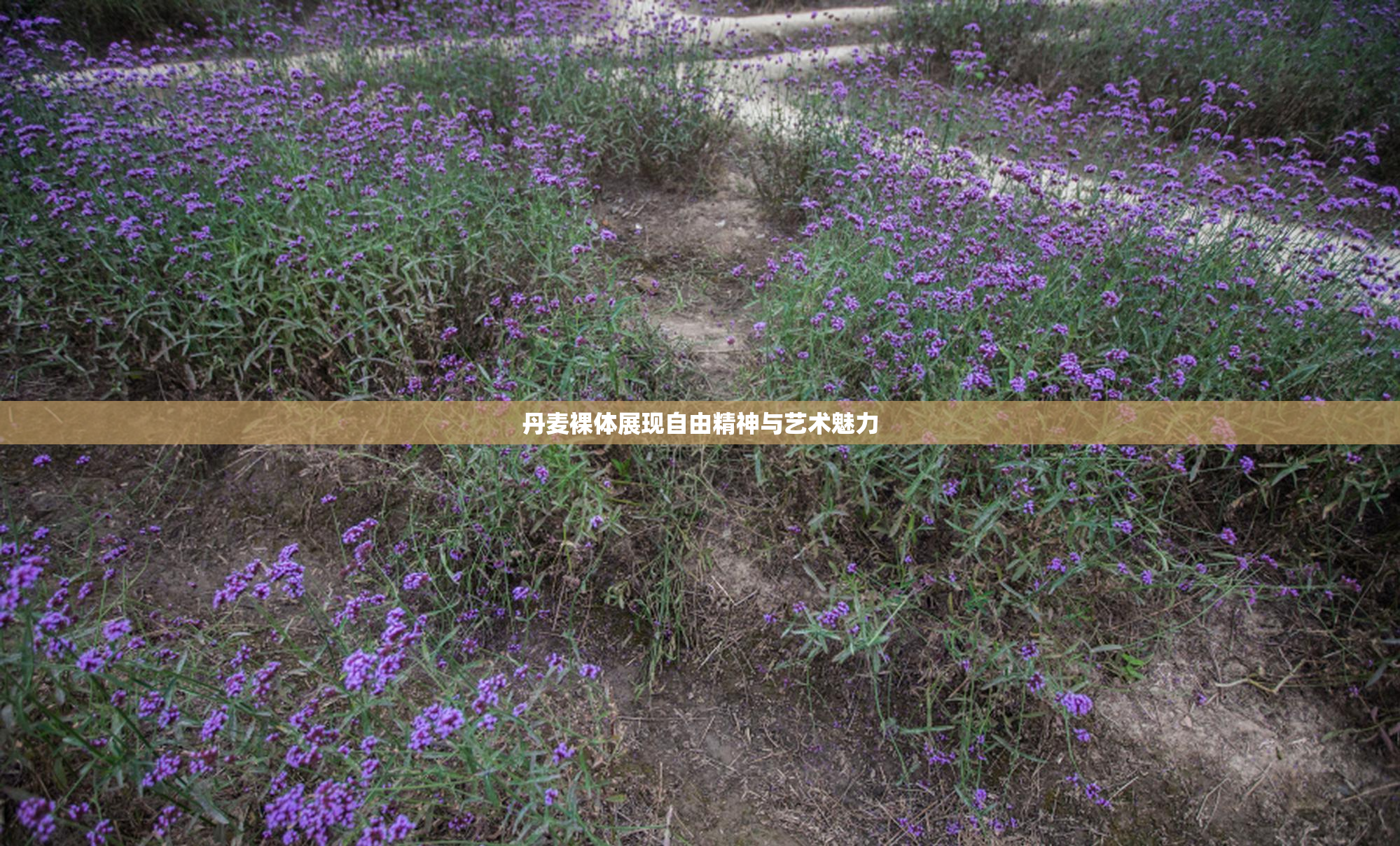丹麦裸体展现自由精神与艺术魅力