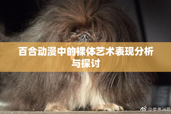 百合动漫中的裸体艺术表现分析与探讨