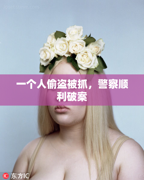 一个人偷盗被抓，警察顺利破案