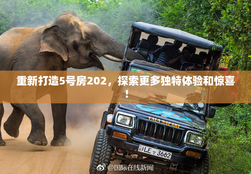 重新打造5号房202，探索更多独特体验和惊喜！