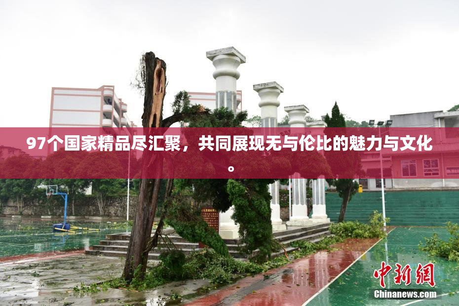 97个国家精品尽汇聚，共同展现无与伦比的魅力与文化。