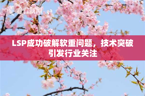 LSP成功破解软重问题，技术突破引发行业关注
