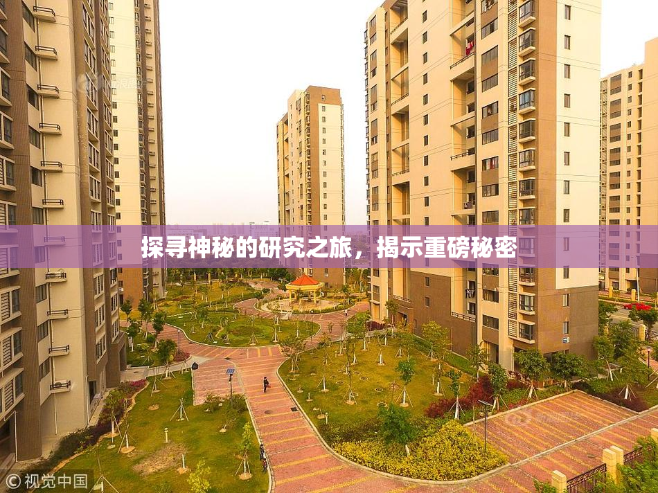 探寻神秘的研究之旅，揭示重磅秘密