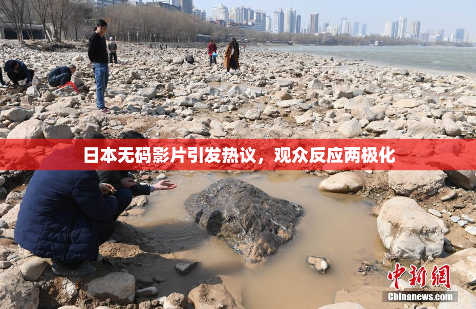 日本无码影片引发热议，观众反应两极化