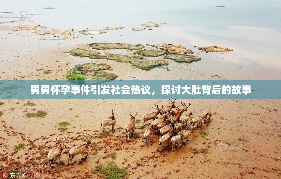 男男怀孕事件引发社会热议，探讨大肚背后的故事