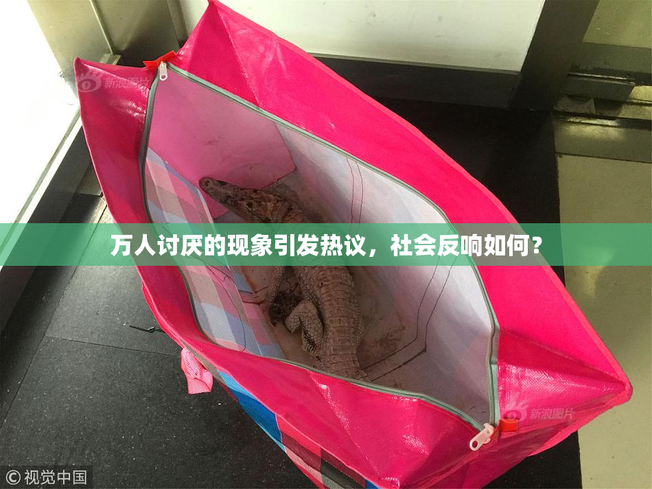 万人讨厌的现象引发热议，社会反响如何？