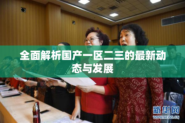 全面解析国产一区二三的最新动态与发展