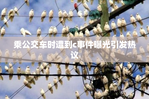 乘公交车时遭到c事件曝光引发热议