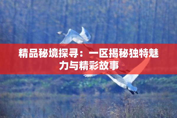 精品秘境探寻：一区揭秘独特魅力与精彩故事