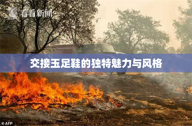 交接玉足鞋的独特魅力与风格