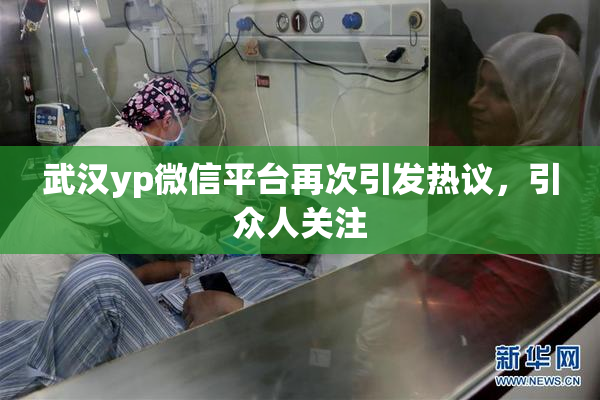 武汉yp微信平台再次引发热议，引众人关注