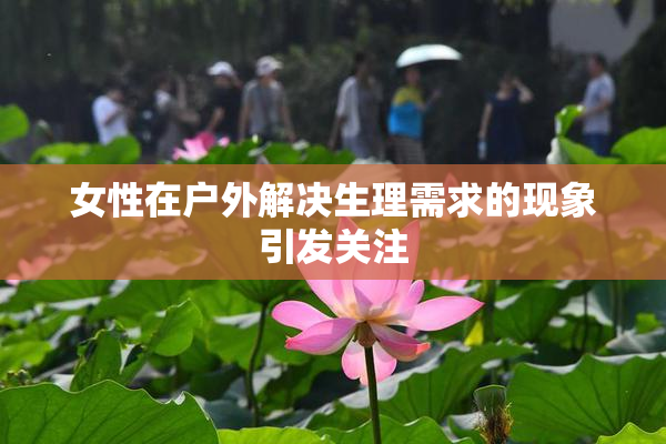 女性在户外解决生理需求的现象引发关注