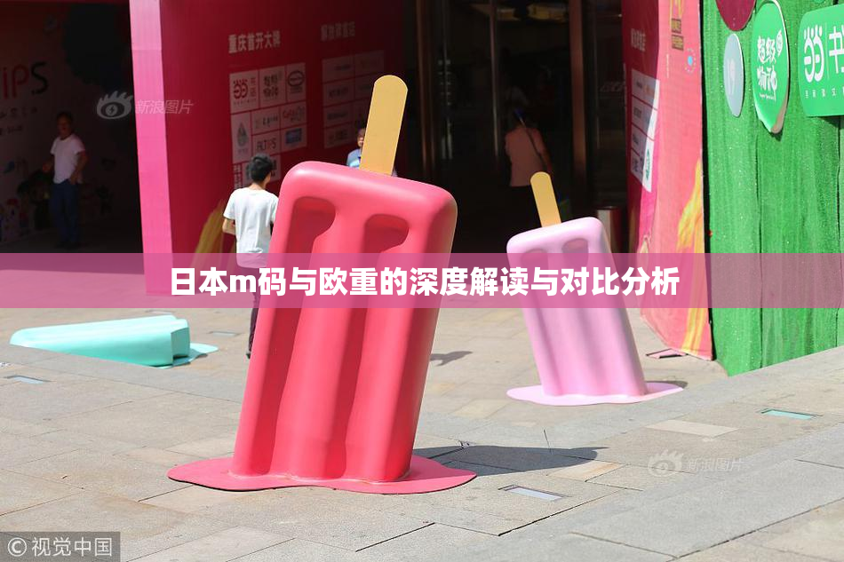 日本m码与欧重的深度解读与对比分析