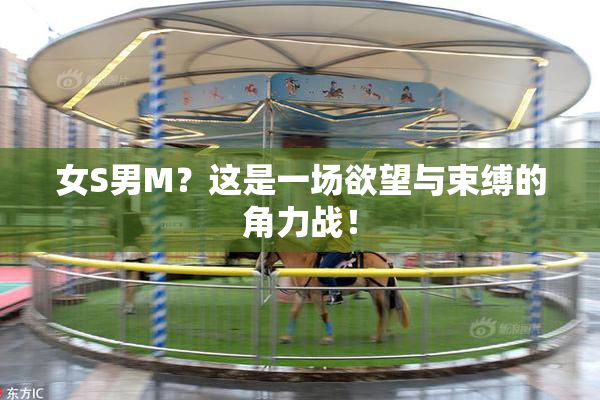女S男M？这是一场欲望与束缚的角力战！