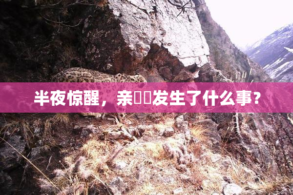 半夜惊醒，亲妺妺发生了什么事？