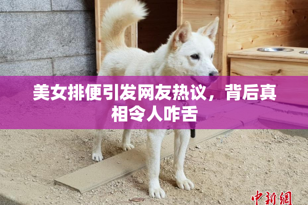 美女排便引发网友热议，背后真相令人咋舌